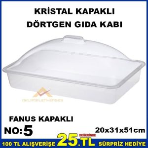 51cm KRİSTAL FANUS KAPAKLI DÖRTGEN GIDA KABI NO5