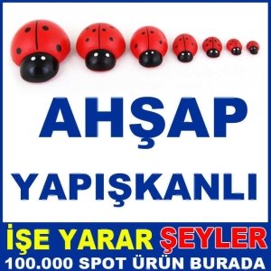 7'Lİ SET BÜYÜKTEN KÜÇÜĞE AHŞAP UĞUR BÖCEĞİ