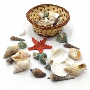 Dekoratif Sepetli Deniz Kabukları İstiridye Deniz Yıldızı Süsü