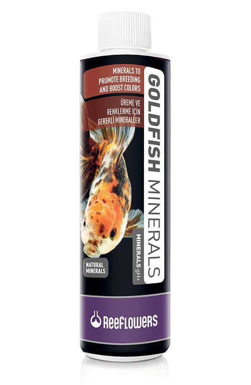 Goldfish 50ml