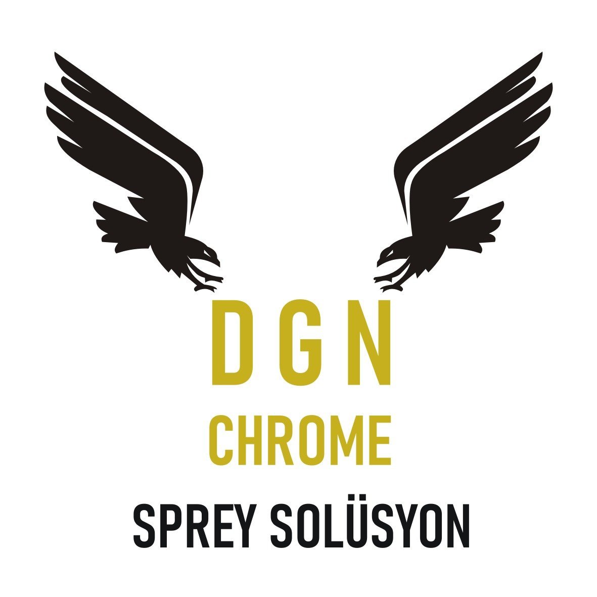 DGN Chrome Spray Solusyon Seti