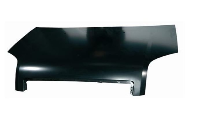 Fusıon Motor  Kaputu 03-05