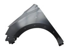 Dacia Lodgy-Dokker Stepway Ön Çam.Kapl.Sin.Dkli  Sol 11-