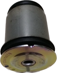 Torsiyon Burcu Arka Egea