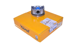 Piston+Segman Takımı Std 1.6 16 Valf Albea-Doblo