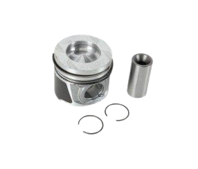 Piston+Segman Takımı 1.00 1.9 Kango-R19-Expres