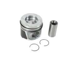 Piston+Segman Takımı 1.00 1.9 Kango-R19-Expres