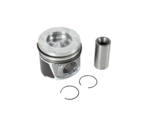 Piston+Segman Takımı Std 2.0 16 Valf Megane 2