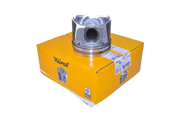 Piston+Segman Takımı Std 2.0 Trafic M9R