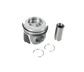 Piston+Segman Takımı Std 1.6 8 Valf Megane-R19