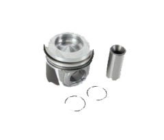 Piston+Segman Takımı Std 1.6 8 Valf Megane-R19
