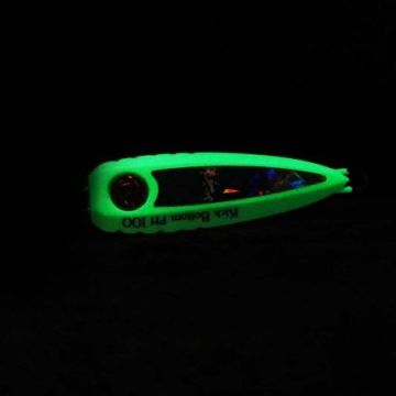 Hayabusa EX 977 Kick Bottom 100gr İnchiku Jig Suni Yem
