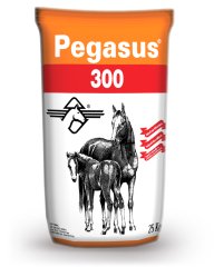 Pegasus 300 At Yemi 25kg
