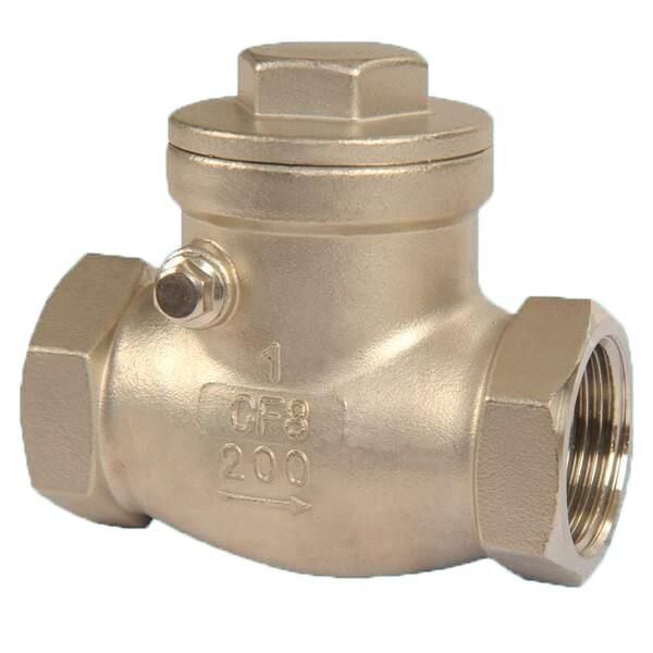 AYVAZ SC-201 Stainless Shutter Check Valve AISI 316 1'' PN16