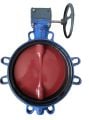 KSB ISORIA Reducer Butterfly Valve DN300