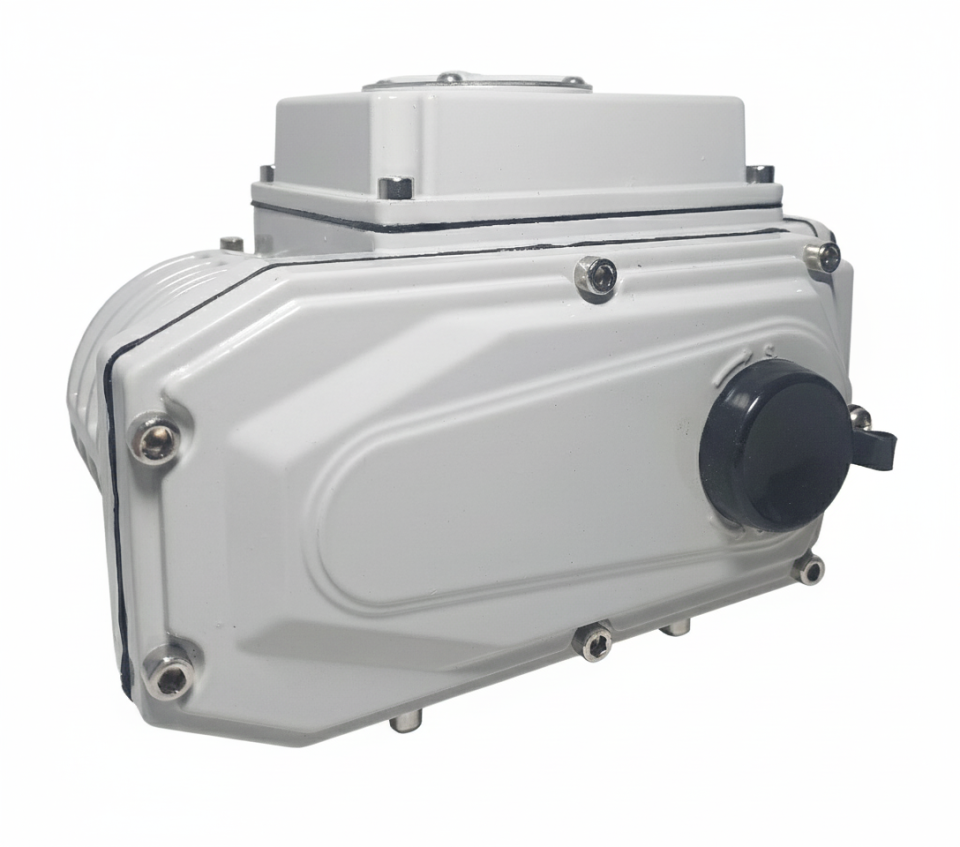 DMS Elektrikli Aktüatör 100Nm 220V AC