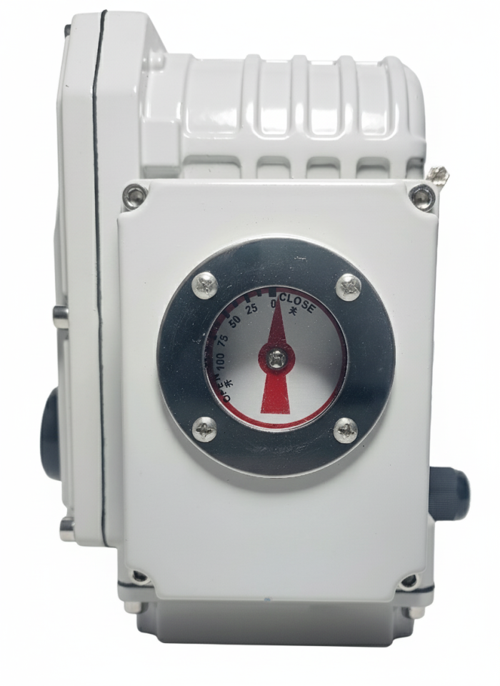 DMS Elektrikli Aktüatör 100Nm 220V AC