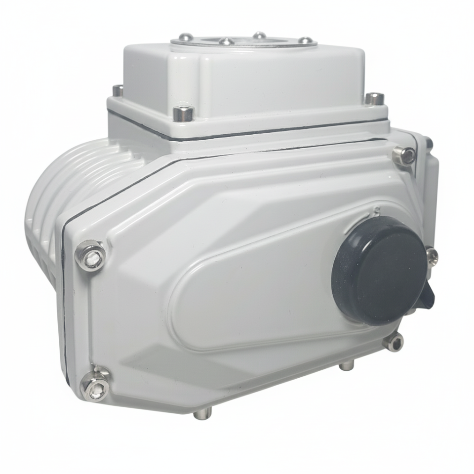 DMS Electric Actuator 50Nm 220V AC