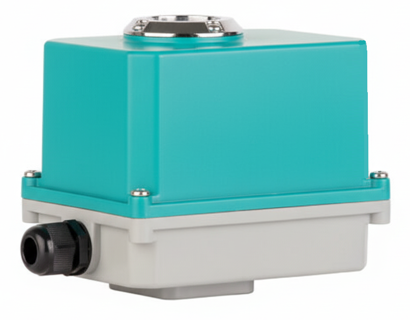 DMS Electric Actuator 30Nm 220V AC
