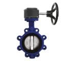 BURÇELİK Lug Type Butterfly Valve with Reducer DN 65