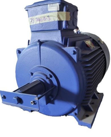 DEG DRİVE Electric Motor IE2 75 KW 2975 rpm