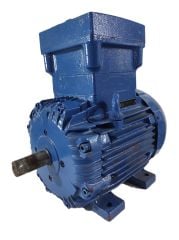 WEG Ex-Proof Electric Motor 4 kW 1450 rpm B3 Flanged w21 112M-04