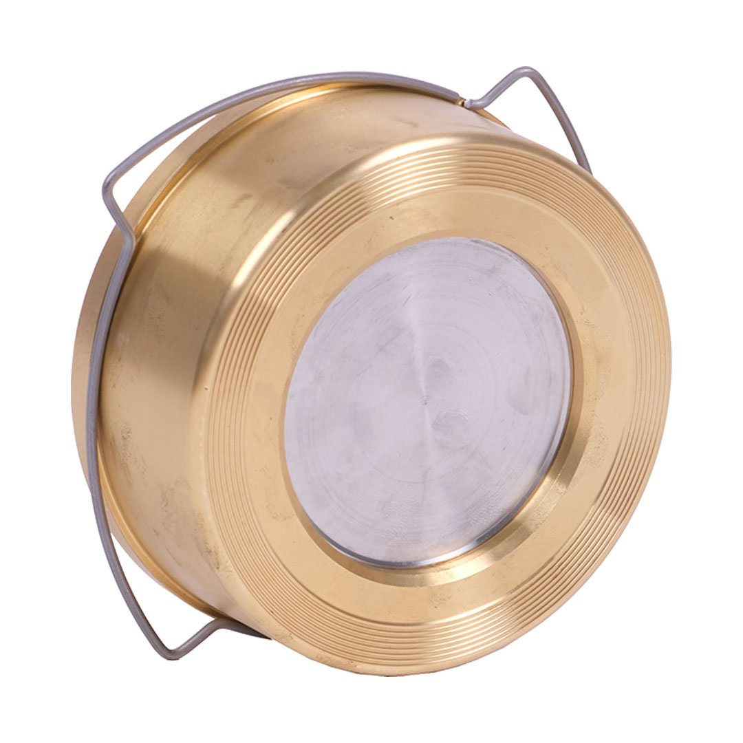 VALFTEK Brass Disco Check Valve DN80 PN16