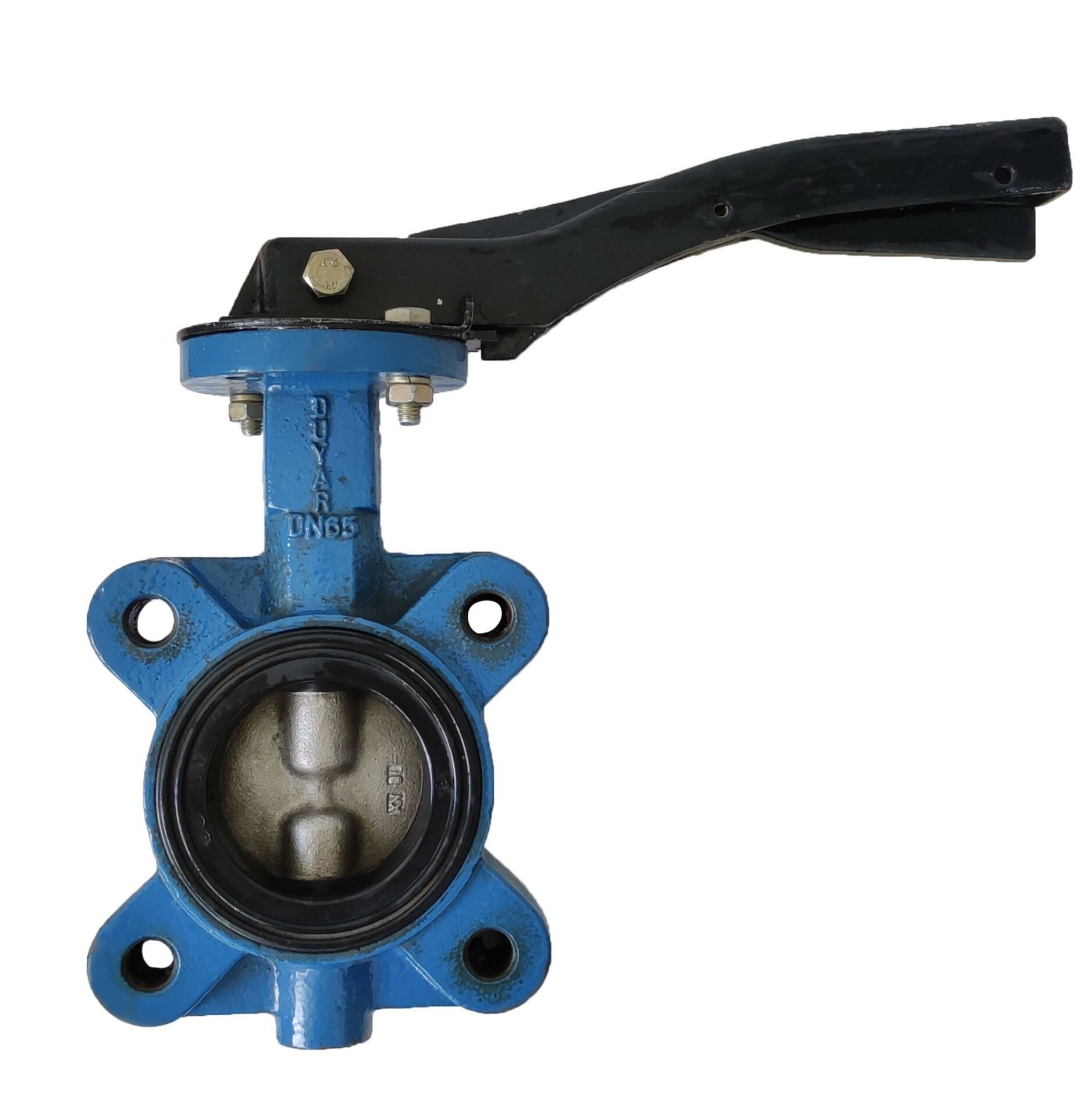 DUYAR Lug Type Butterfly Valve DN65