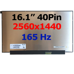 NE161QHM-NY1 Notebook Lcd Ekran