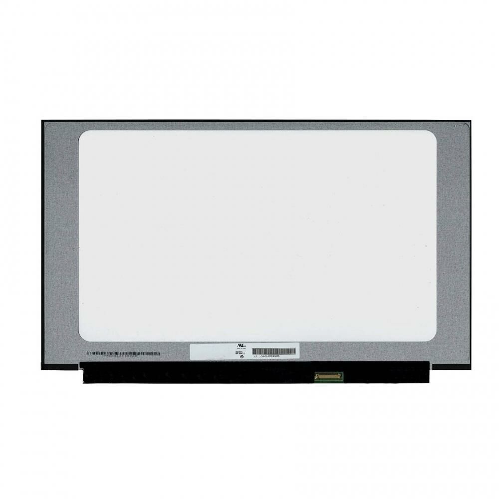 N156HCA-EN1 Rev.C1 Ekran FULL HD IPS Panel