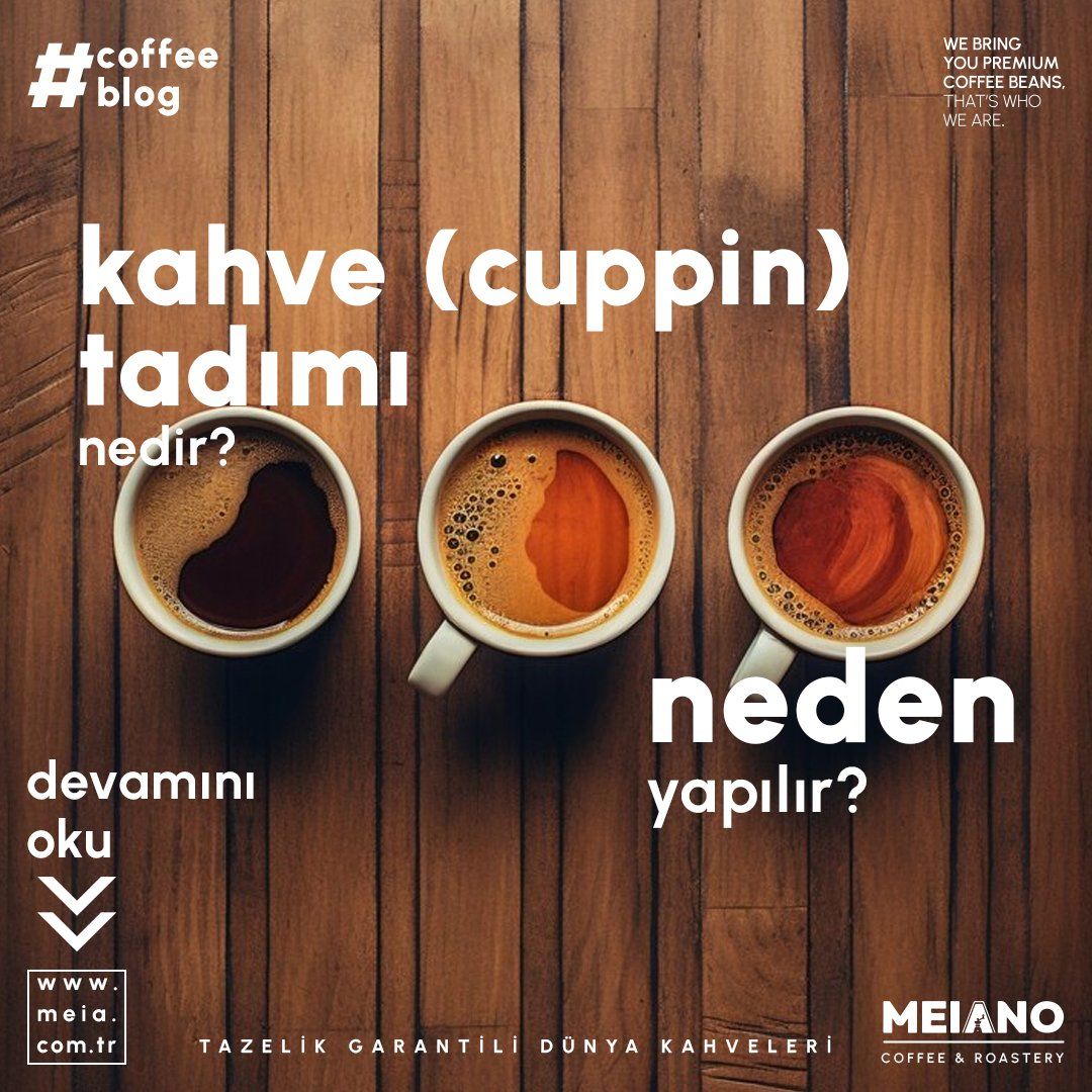 Kahve (Cupping) Tadımı Nedir? Neden Yapılır?