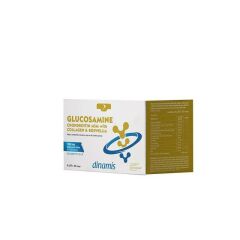 Dinamis Glucosamine Chondroitin MSM With Hyaluronic Acid 30 Saşe
