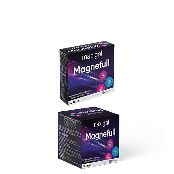 Maxigal Magnefull 120 Tablet