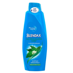 Blendax Şampuan 500 ml Saç Dökülmelerine Karşi Isirgan Özlü