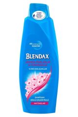 Blendax Şampuan 500 ml Mat Saçlar