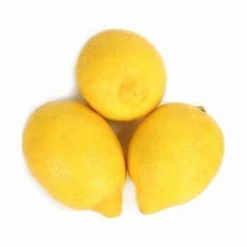 Tüplü Aşılı Lamas Limon 2 Yaş (Boy 90-110 cm)