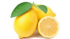 Tüplü Aşılı Zagara - Bianca Limon Fidanı 2 yaş (100-120 cm)