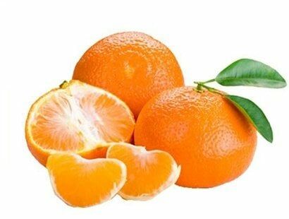 Tüplü Aşılı Nova Mandalina Fidanı 2 yaş (100-120 cm)