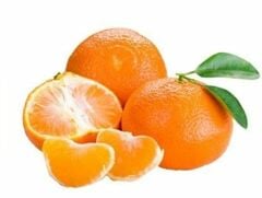 Tüplü Aşılı Nova Mandalina Fidanı 2 yaş (100-120 cm)