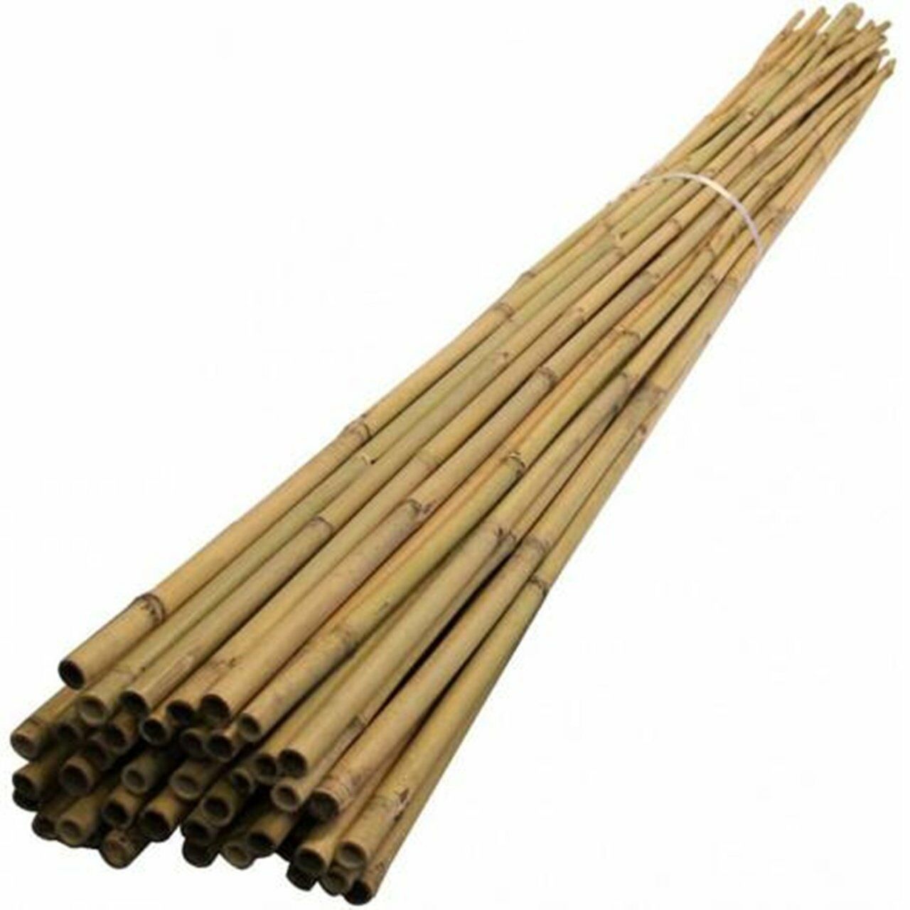 Fidan Destek Çubuğu Kamış (Ucu sivriltilmiş) 180-190cm 25 ADET