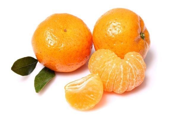 Bodrum Mandalinası Fidanı