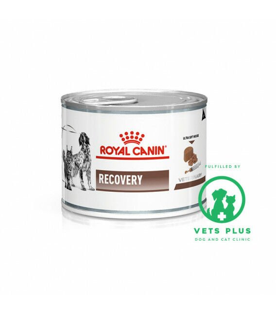 Royal Canin Recovery Kedi Köpek konservesi 195 gr