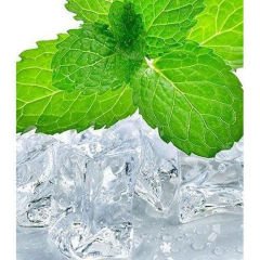 Gülefşan Bitkisel Mentol Ferahlığı Şampuan 400ml 2 Adet