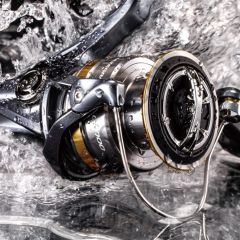 Ultegra 4000 FB XG