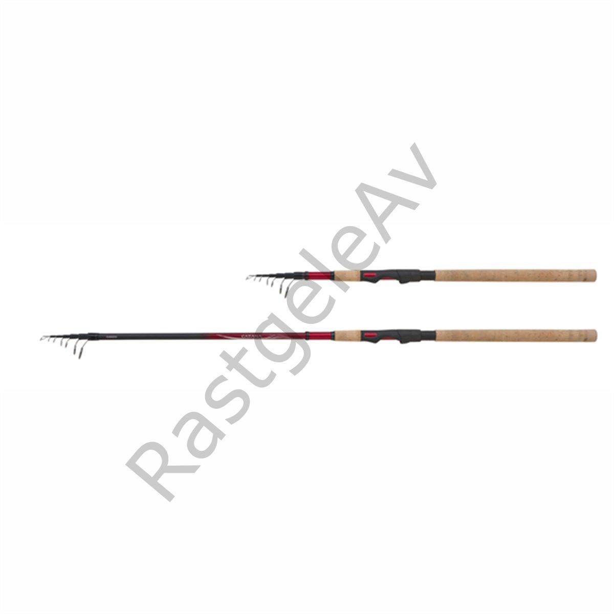 Catana EX Telespin 300MH 14-40g