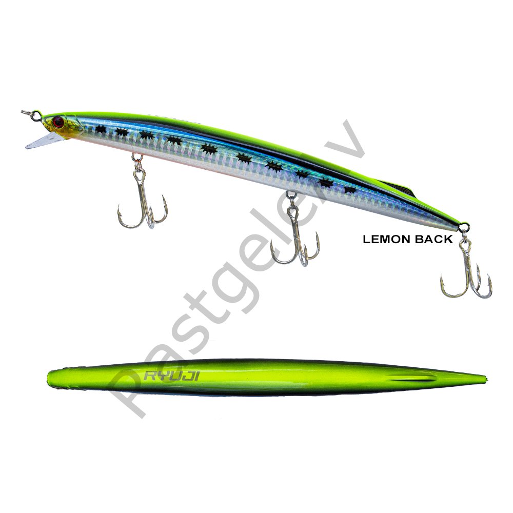 Ryuji Master Jerk Sinking 190mm 36gr Hard Bait