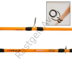 Ryuji Sparrow 1.70m 15-200gr 2P Bot Olta Kamışı