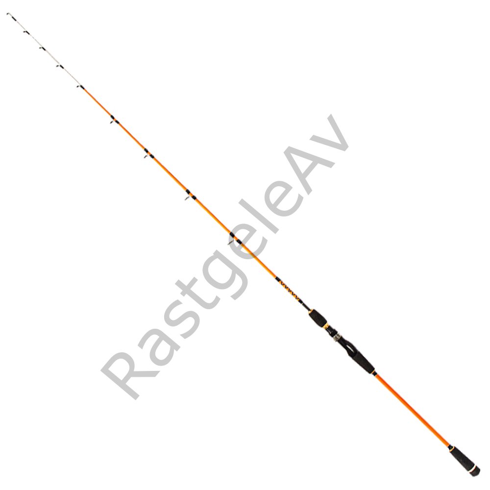 Ryuji Sparrow 1.70m 15-200gr 2P Bot Olta Kamışı