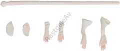 Savage gear LB 3D Rad Maintenance Kit 20 cm White Suni Yem