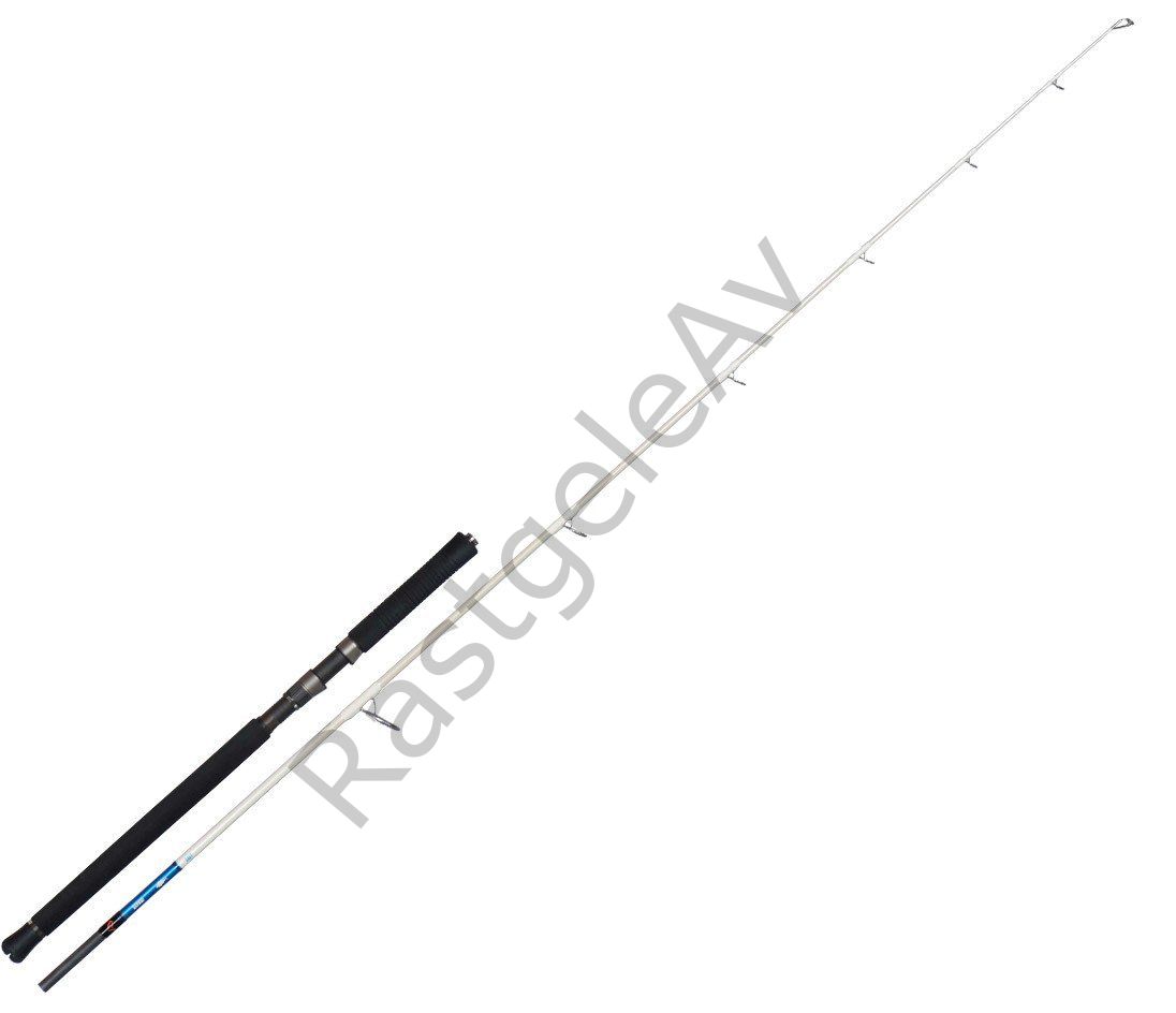 Savage gear Salt 1DFR Pop n Stıck 234cm 100-200g 2 Parça